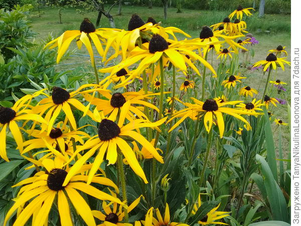 Поздравляю!