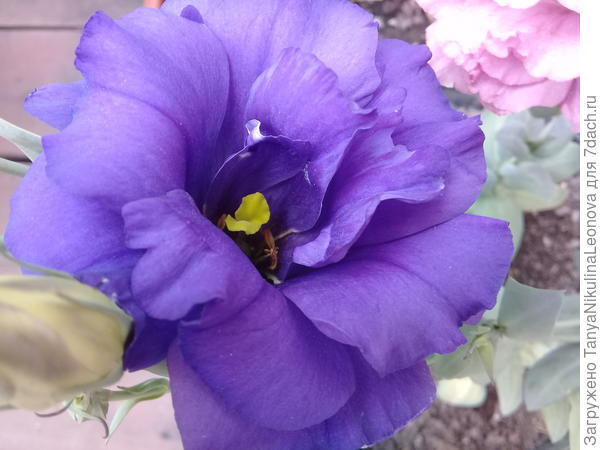 Поздравляю!