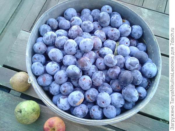 Осталось последнее ведро, уже пеоерабатывать сил нет)))