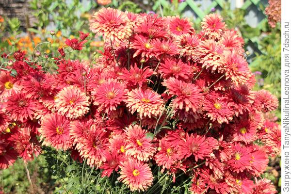 Поздравляю!