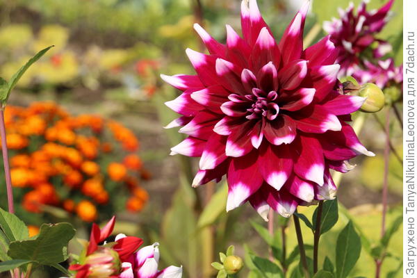 Поздравляю!