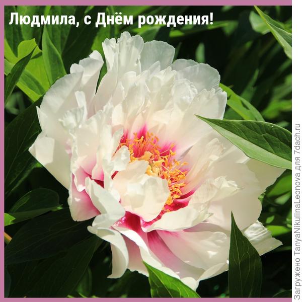 Поздравляю!!!