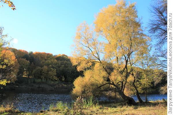 Второй пруд