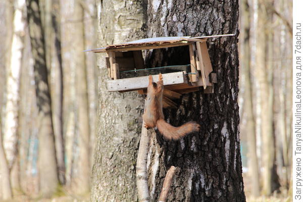 Белок очень много...