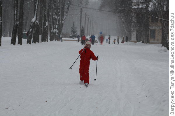 Стараемся раз в неделю выбираться зимой на лыжах в парк