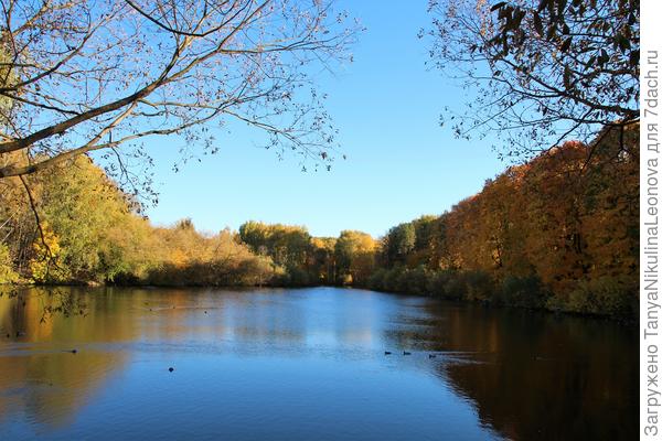 Первый пруд