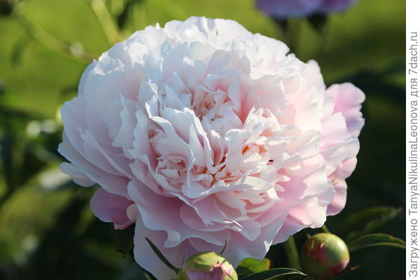 Поздравляю!!!