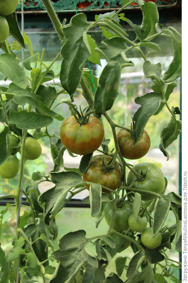 Поль Робсон