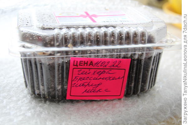 Микс, посев 11.02.22