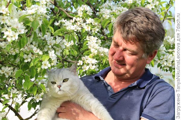 Кто же в доме хозяин?