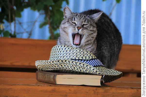 Скучная книжка!