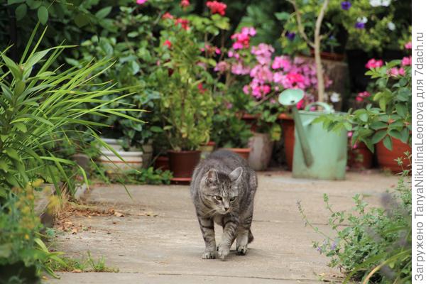 А я и умный, и красивый!)))