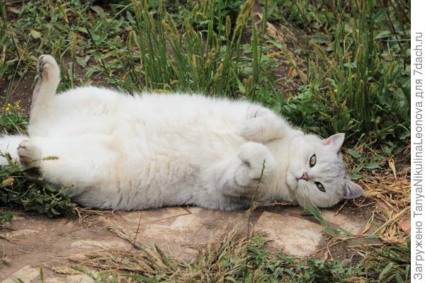 "Зайка моя..."