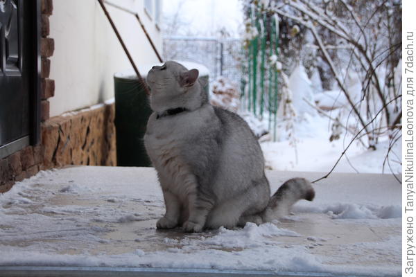 Скорее домой!