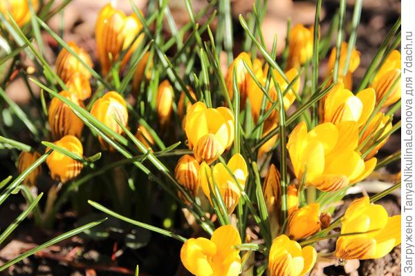 Поздравляю!