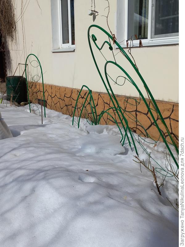 Снег с крыши всмятку сломал опору для клематиса