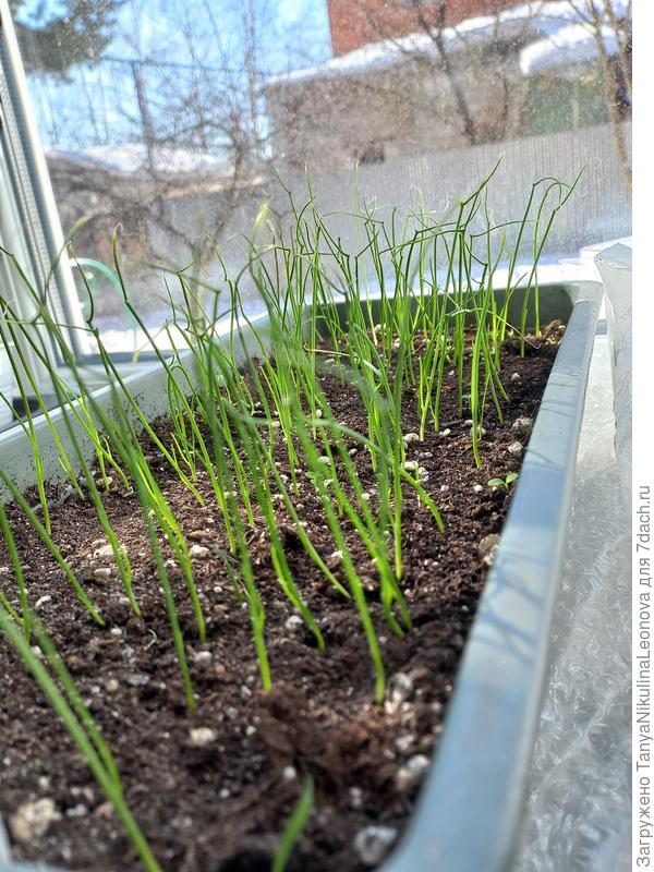 Мой Эксибишн сегодня