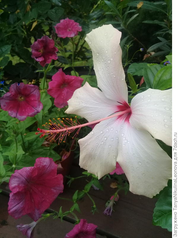 Поздравляю!