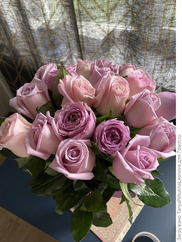 Поздравляю!