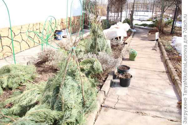 цветник
