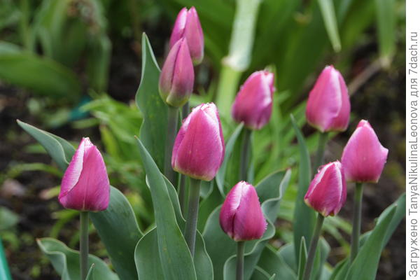 Поздравляю!!!