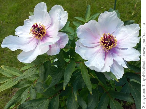 Поздравляю с победой!