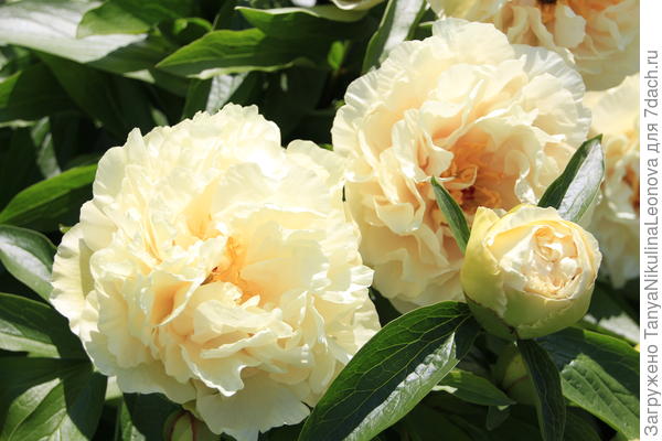 Поздравляю!