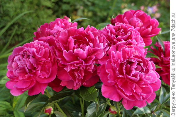 Поздравляю!