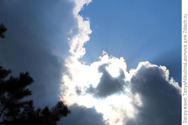 Борьба света и тьмы