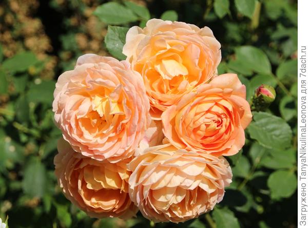 Поздравляю!