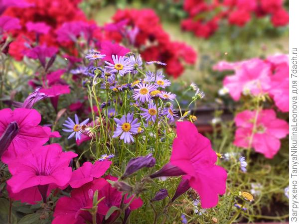 Поздравляю!