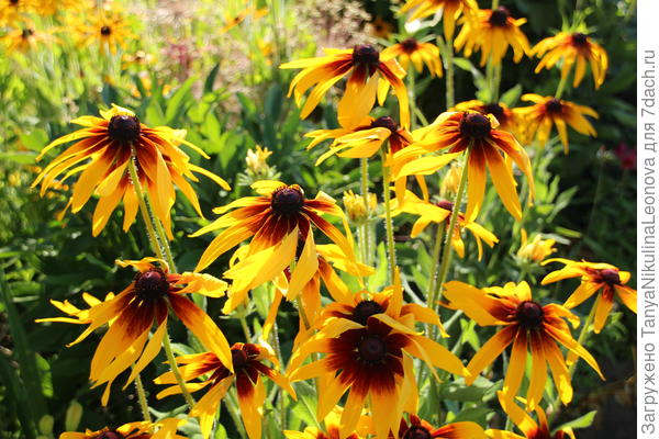 Поздравляю!