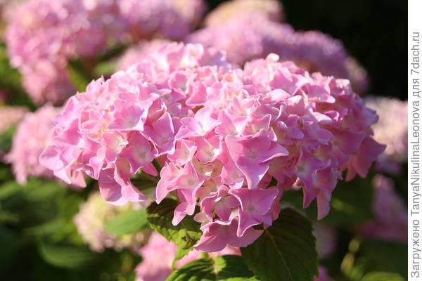 Поздравляю!