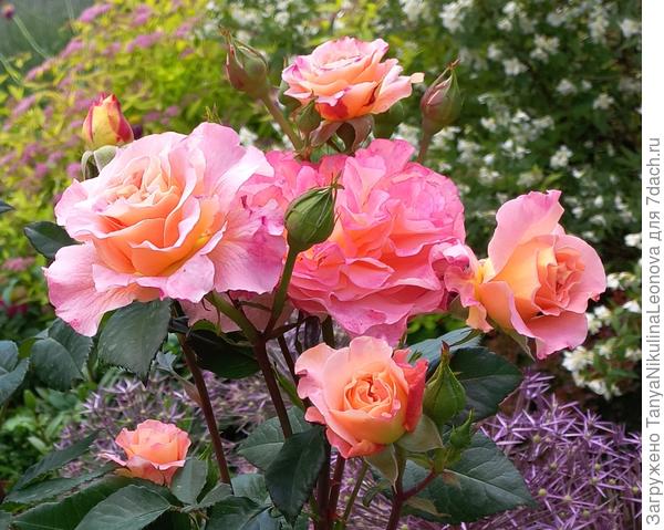 Поздравляю!