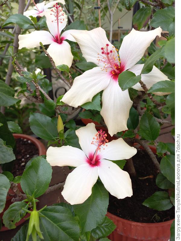 Поздравляю!