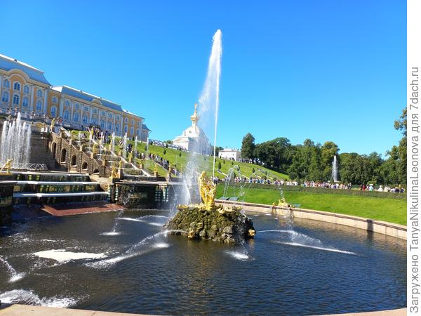 Поздравляю!