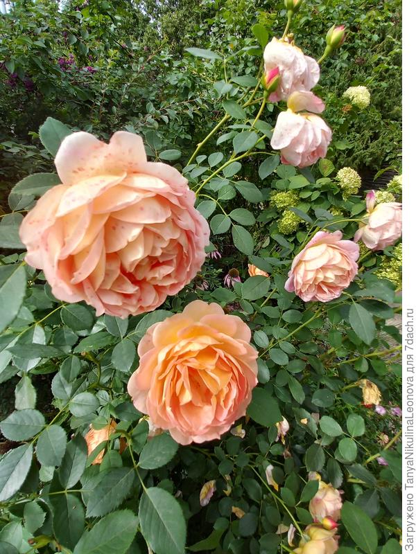 Поздравляю!