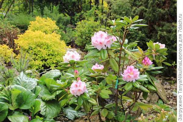 27.05.22 Симона