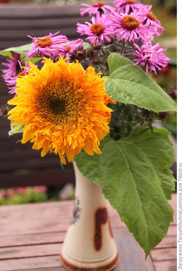 С Днём рождения!