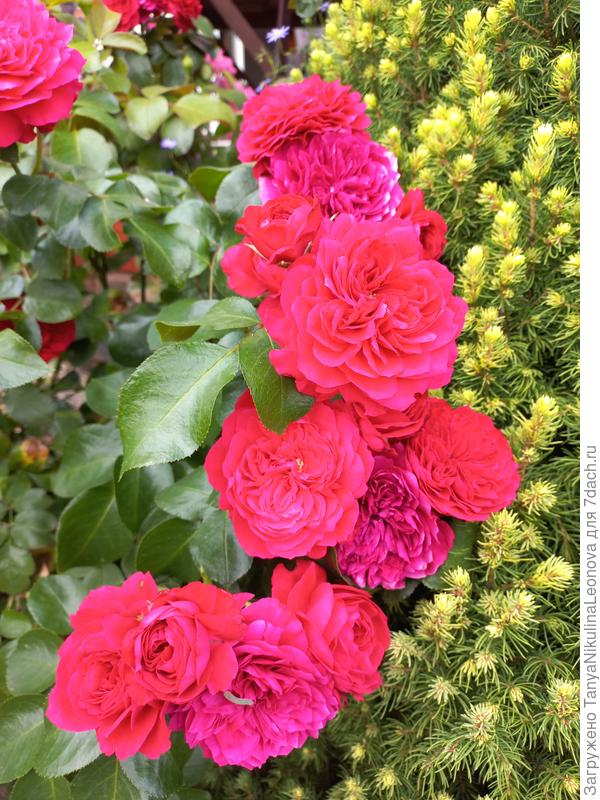 Поздравляю!!!