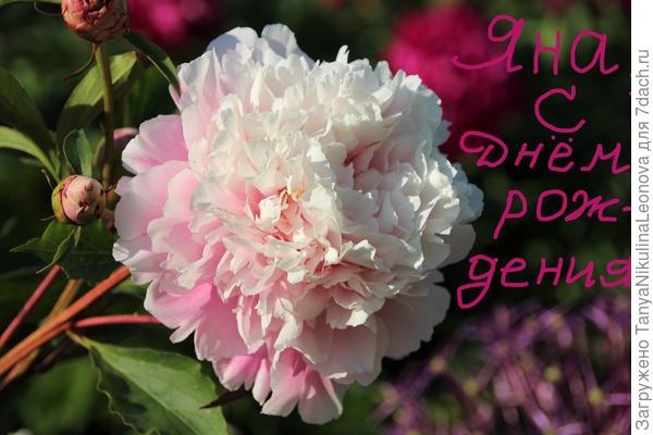 Поздравляю!!!