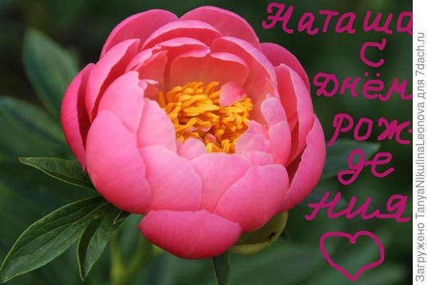 Поздравляю!!!