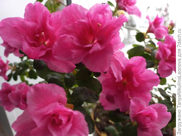 Поздравляю!!!