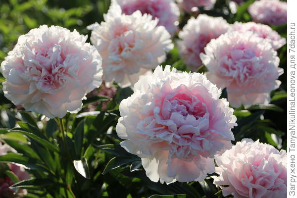 Поздравляю!!!