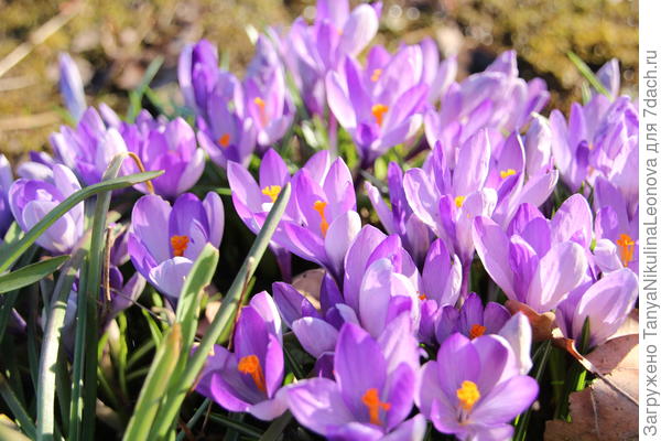 Поздравляю!!!