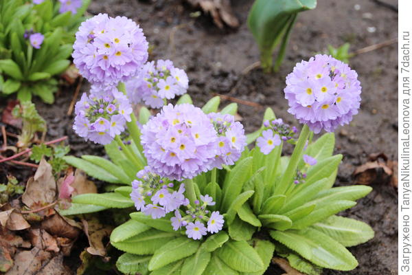 Поздравляю!