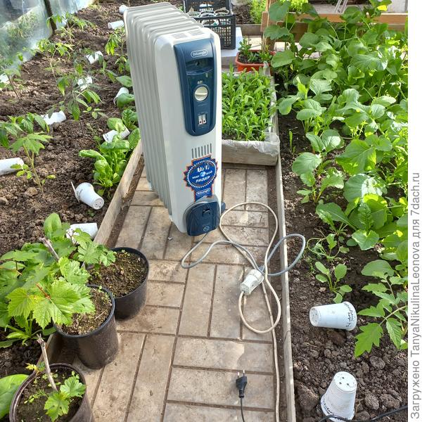 Наш спаситель