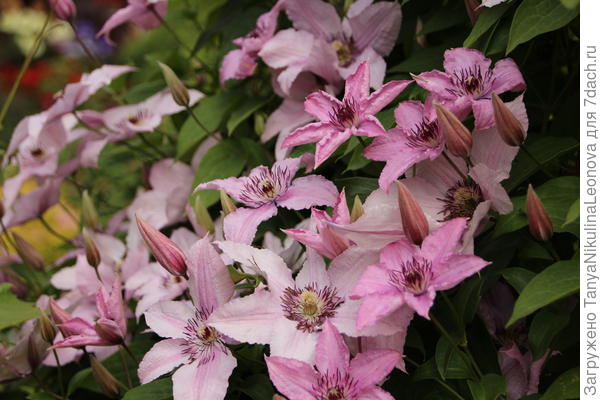 Поздравляю!!!