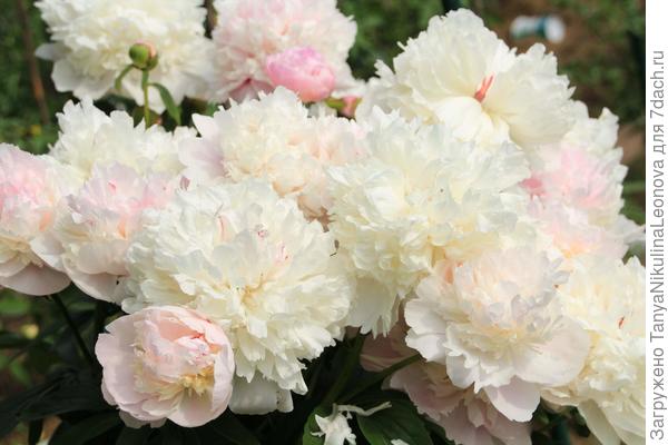 Поздравляю!!!