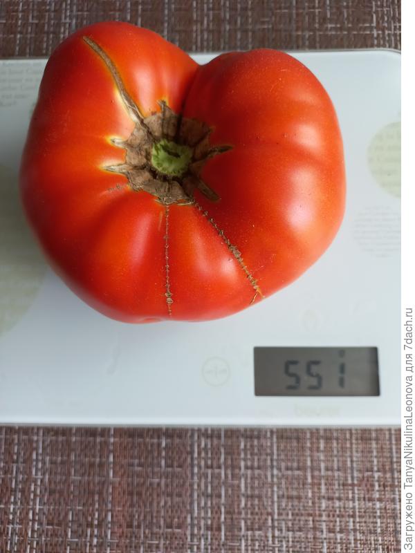 Андреевский сюрприз